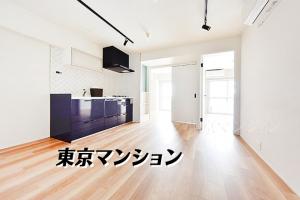 中古マンション 文京区大塚６丁目37-5 有楽町線東池袋駅 53800000