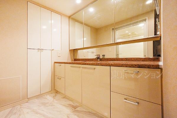 シティタワーズ豊洲　ザ・ツイン　ノースタワー 洗面化粧台