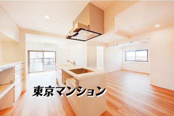 中古マンション 江戸川区東小岩６丁目 JR中央・総武線小岩駅 4,199万円