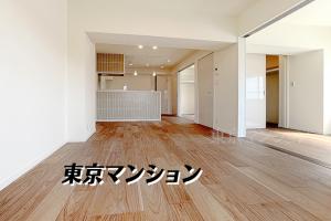 中古マンション 豊島区池袋本町３丁目31-14 東武東上線下板橋駅 40990000