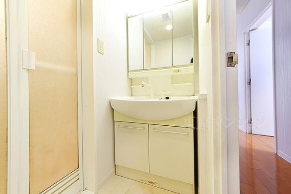 エクレール石神井公園 洗面化粧台