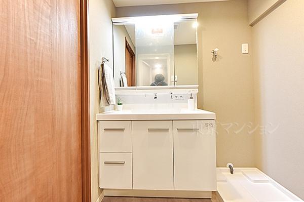 メガロン仲六郷 洗面化粧台