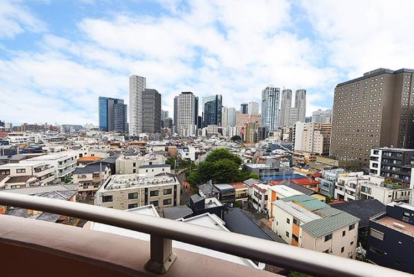 ディオレ西新宿 眺望