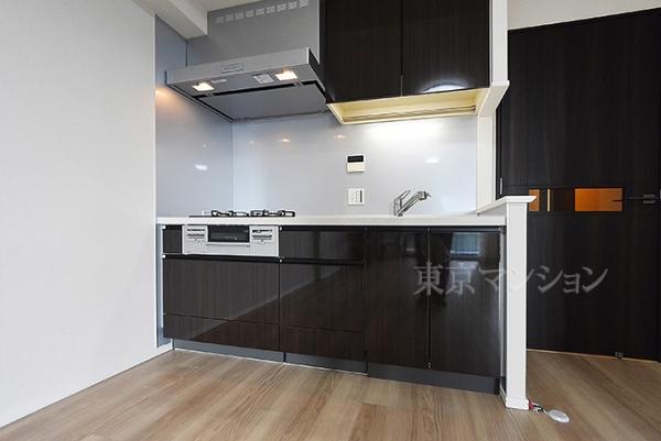 シティタワー銀座東 キッチン