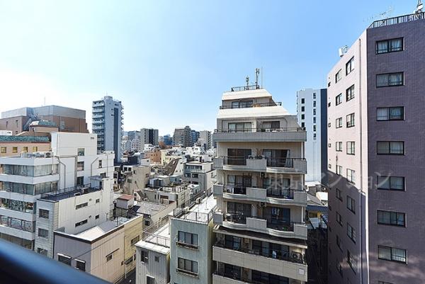 ダイアパレス大洋・駒形 眺望