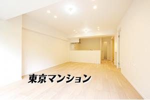 中古マンション 板橋区徳丸３丁目41-12 東武東上線東武練馬駅 30990000