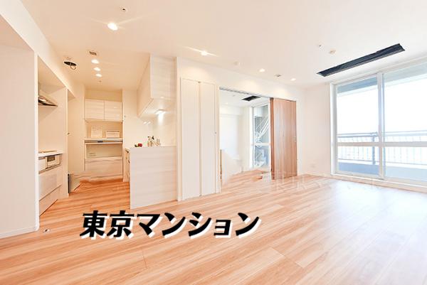 中古マンション 中央区晴海１丁目 有楽町線月島駅 1億999万円
