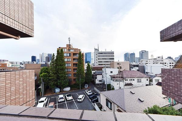 ロイヤルパレス東中野 眺望