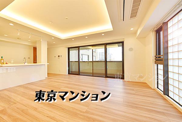中古マンション 新宿区新小川町 JR中央・総武線飯田橋駅 1億5,499万円