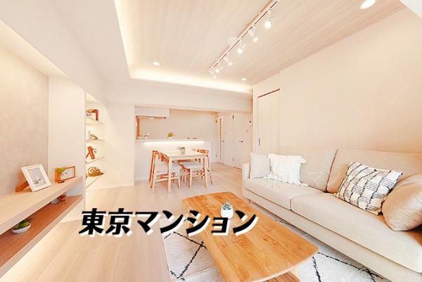 越中島三丁目ハイツ２号棟 リビング