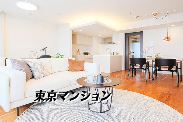 中古マンション 中央区佃２丁目1-1 有楽町線月島駅 1億7,990万円