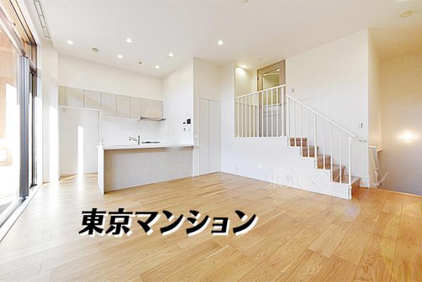中古マンション 中野区中野６丁目 JR中央・総武線東中野駅 1億2,990万円