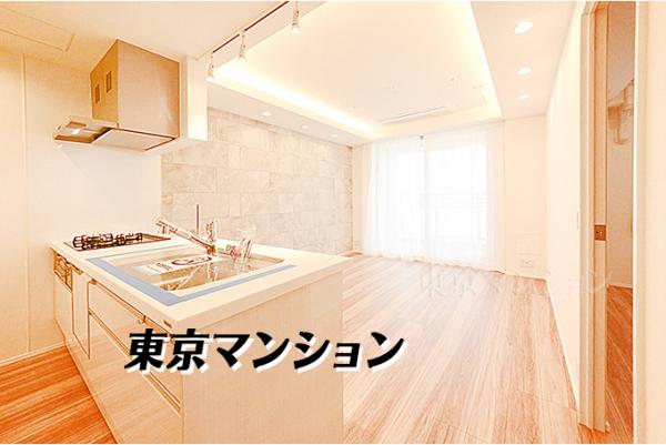 中古マンション 新宿区富久町 丸の内線新宿御苑前駅 1億8,790万円