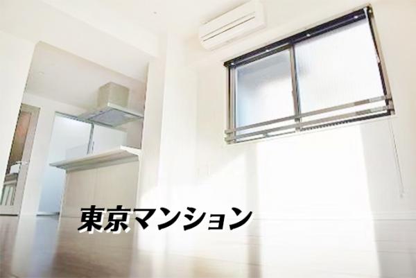 宮廷東新宿ビル リビング