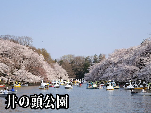 中古マンション 武蔵野市吉祥寺東町２丁目17-1 JR中央・総武線吉祥寺駅 6,999万円