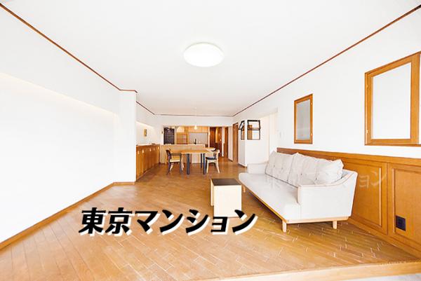 中古マンション 文京区大塚２丁目4-8 有楽町線護国寺駅 1億1,500万円