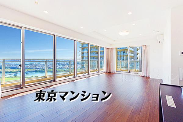 ザ・リバープレイスイーストタワー リビング