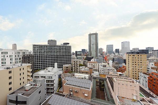 パークハウス赤坂氷川 眺望