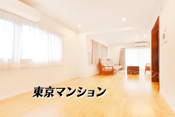 ロイヤルステージ市ヶ谷 リビング