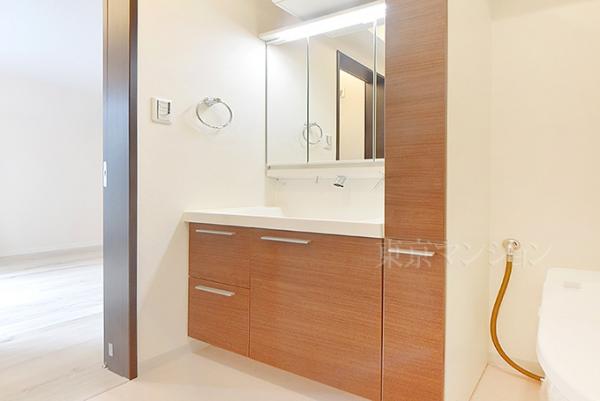 ロイヤルステージ市ヶ谷 洗面化粧台