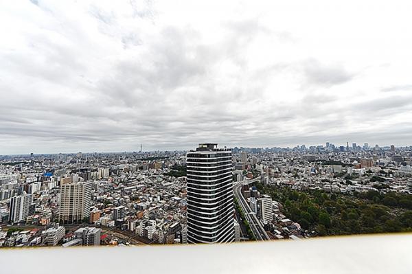 エアライズタワー 眺望