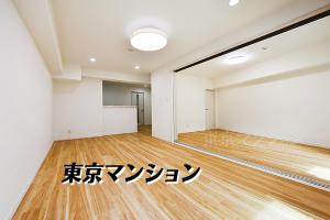 中古マンション 練馬区練馬４丁目18-19 都営大江戸線豊島園駅 40000000