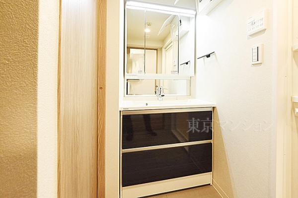 レガリアスパシエ目白 洗面化粧台