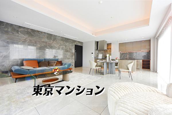 中古マンション 港区西麻布３丁目17-12 日比谷線六本木駅 5億4,800万円