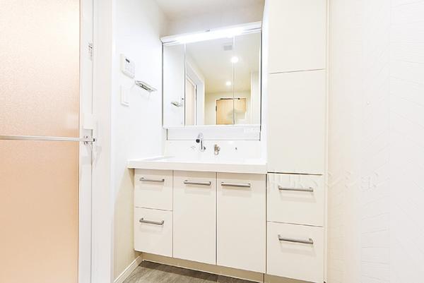 ファミールグラン高井戸デュープレックス 洗面化粧台