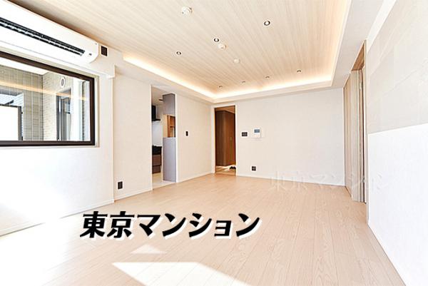 中古マンション 中央区日本橋中洲2-3 半蔵門線水天宮前駅 1億1,480万円