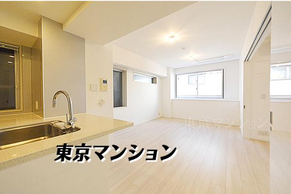 中古マンション 新宿区市谷田町２丁目 有楽町線市ケ谷駅 1億1,980万円