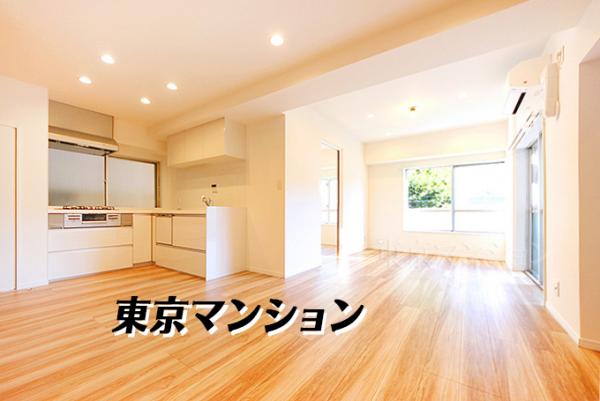 中古マンション 豊島区南大塚３丁目 JR山手線大塚駅 5,999万円