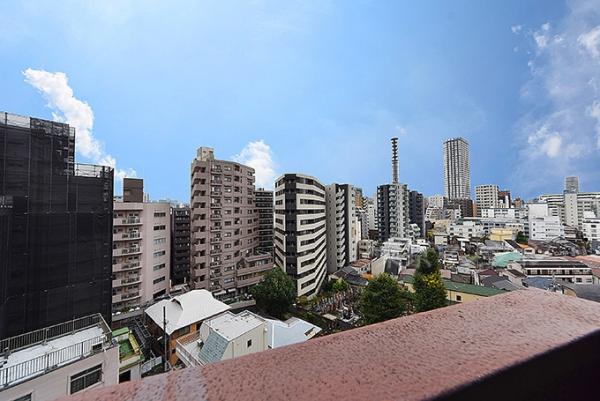 牛込ハイム 眺望