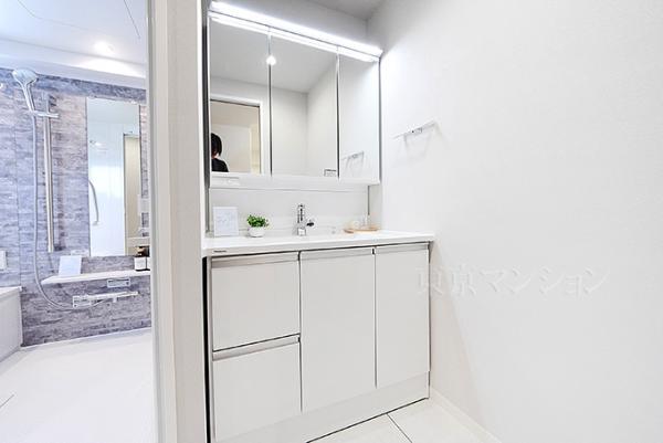 ＮＩＣハイム砧 洗面化粧台