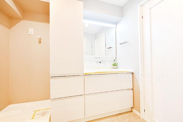 マンハイム第二西大島 洗面化粧台