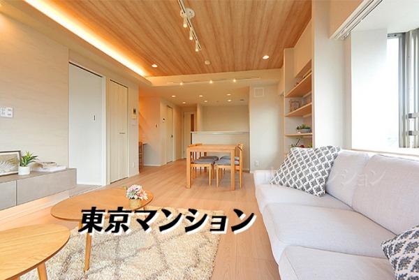 中古マンション 練馬区貫井１丁目 西武池袋線富士見台駅 7,999万円