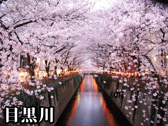 中古マンション 目黒区目黒２丁目 JR山手線目黒駅 1億999万円