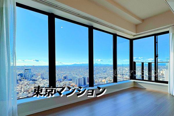 中古マンション 新宿区西新宿５丁目2-1 丸の内線西新宿駅 2億4,800万円