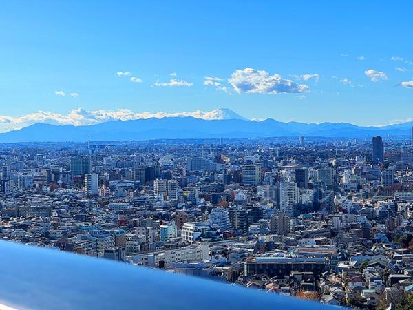 シティタワー新宿 眺望