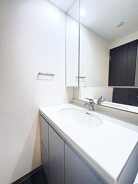 ザ・タワーズ台場　ＷＥＳＴ棟 洗面化粧台