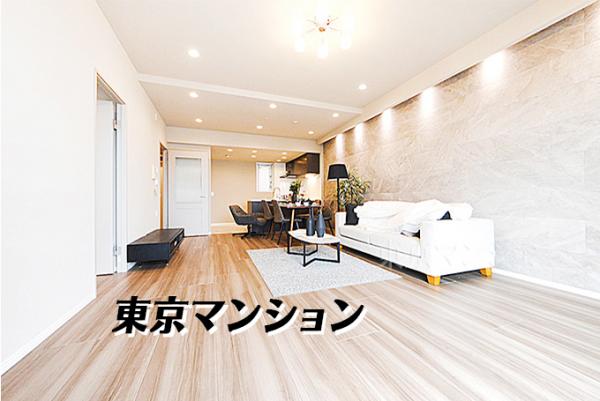 中古マンション 江東区豊洲２丁目 有楽町線豊洲駅 1億8,490万円