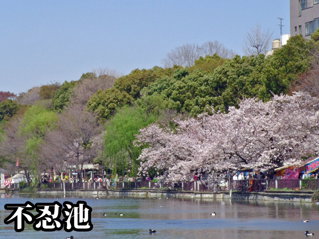 中古マンション 文京区湯島４丁目6-12 千代田線湯島駅 5,698万円