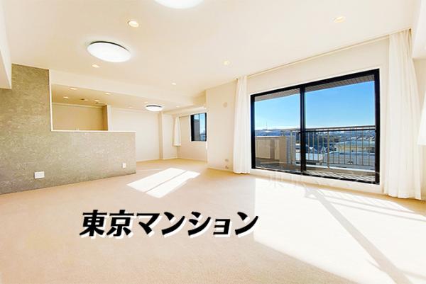 中古マンション 練馬区氷川台３丁目20-6 有楽町線氷川台駅 7,680万円