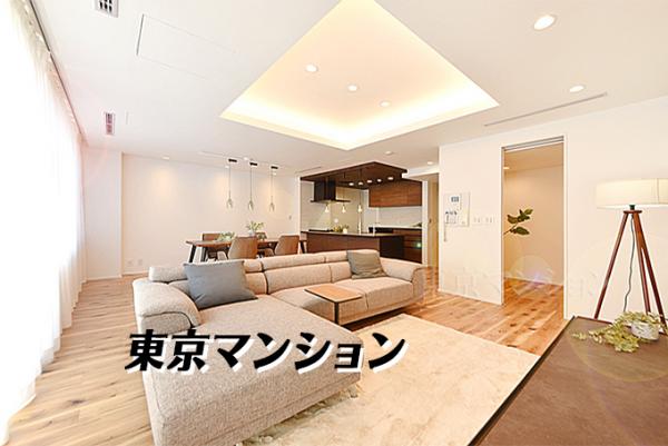 中古マンション 新宿区中町23-1 都営大江戸線牛込神楽坂駅 2億7,980万円