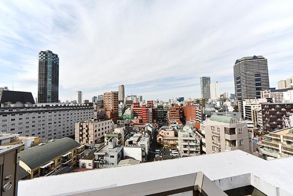 ミッドガーデン赤坂氷川 眺望