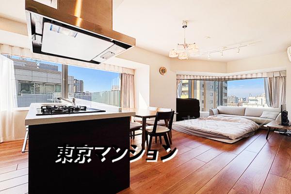 中古マンション 新宿区西新宿４丁目2-15 都営大江戸線西新宿五丁目駅 1億1,980万円