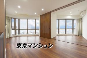 中古マンション 新宿区富久町15-1 丸の内線新宿御苑前駅 240000000