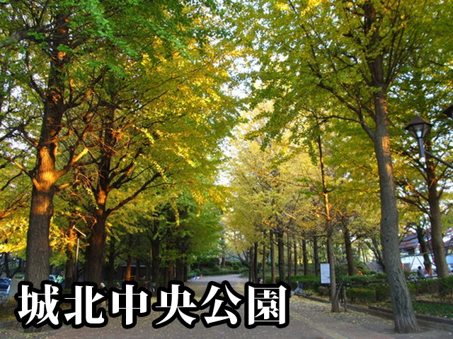 中古マンション 練馬区錦１丁目 東武東上線上板橋駅 5,480万円