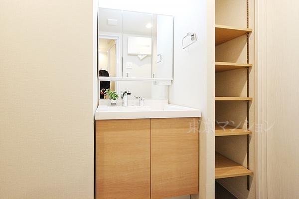 アンバサダー三軒茶屋 洗面化粧台