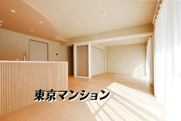 中古マンション 港区南麻布１丁目5-8 南北線麻布十番駅 5,980万円